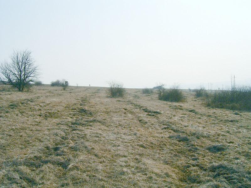 20110312 067.jpg